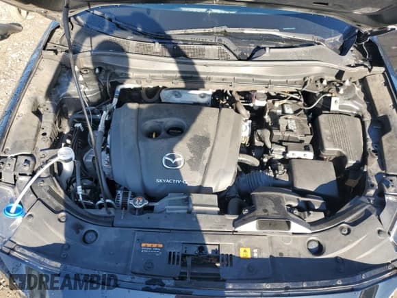 ✅ 2022 Mazda CX-5 S Premium Plus • VIN: JM3KFBEM5N1603095 • Lot: 80873305. Listed on Copart with 49,003 mi. Free auction sales archive from the USA and detailed vehicle history report at DreamBid. Image 12.