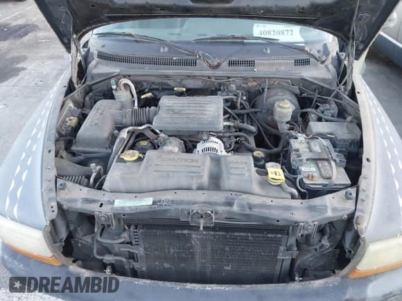 ✅ 2000 Dodge Dakota Sport • VIN: 1B7GG2AN7YS624989 • Lot: 40820872. Wystawiony na IAAI z przebiegiem Nie podano. Bezpłatny archiwum sprzedaży aukcyjnych z USA i szczegółowy raport historii pojazdu na DreamBid. Zdjęcie 10.