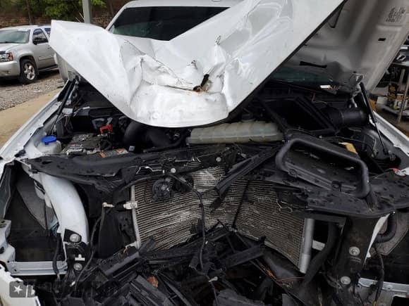 ✅ 2024 Ford Expedition XLT • VIN: 1FMJU1H8XREA21264 • Лот: 52568695. Опубликован ранее на Copart с пробегом Не указан. Бесплатный доступ к архиву аукционных продаж из США и подробный отчёт об истории автомобиля на DreamBid. Изображение 11.