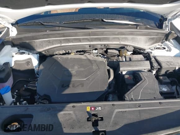 ✅ 2025 Kia Telluride EX • VIN: 5XYP3DGC8SG611744 • Lot: 43596977. Listed on IAAI with 11,569 mi. Free auction sales archive from the USA and detailed vehicle history report at DreamBid. Image 9.