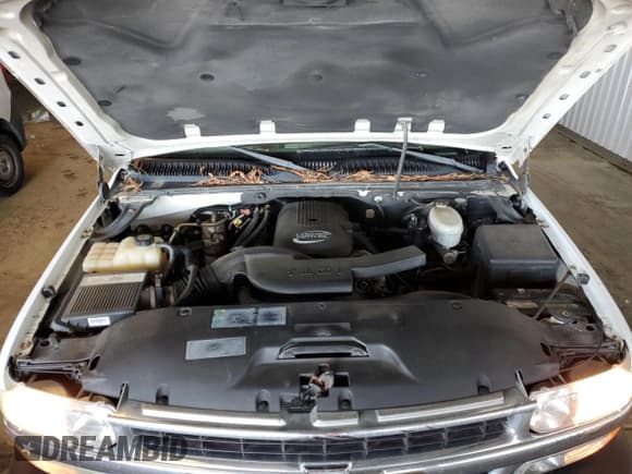 ✅ 2003 Chevrolet Suburban LT • VIN: 3GNEC16Z53G172508 • Лот: 87489454. Опубликован ранее на Copart с пробегом 199 553 миль. Бесплатный доступ к архиву аукционных продаж из США и подробный отчёт об истории автомобиля на DreamBid. Изображение 12.