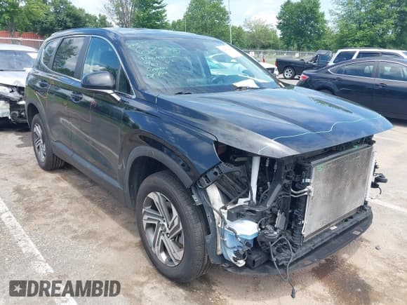 ✅ 2021 Hyundai Santa Fe SE • VIN: 5NMS1DAJ0MH318582 • Lot: 42681443. Listed on IAAI with 94,808 mi. Free auction sales archive from the USA and detailed vehicle history report at DreamBid. Image 1.