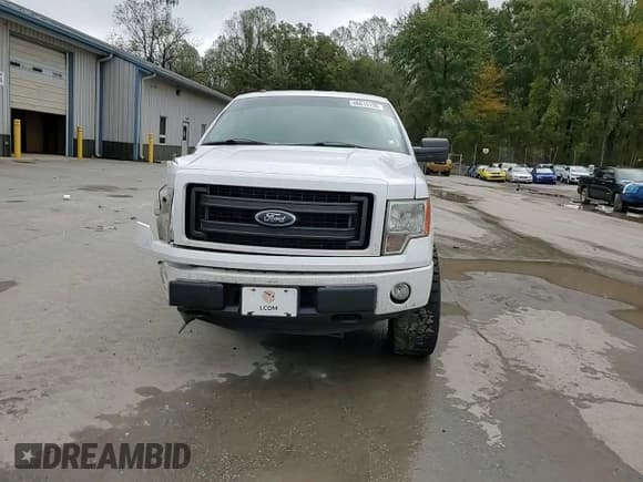 ✅ 2013 Ford F-150 XL • VIN: 1FTEX1EM2DFA97997 • Lot: 86616135. Listed on Copart with 244,869 mi. Free auction sales archive from the USA and detailed vehicle history report at DreamBid. Image 13.