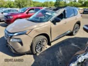 ✅ 2024 Nissan Rogue Platinum • VIN: JN8BT3DD8RW250373 • Lot: 70458595. Listed on Copart with 7,524 mi. Free auction sales archive from the USA and detailed vehicle history report at DreamBid. Image 1.