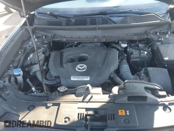 ✅ 2023 Mazda CX-9 Carbon Edition • VIN: JM3TCBDY9P0631587 • Lot: 43571828. Listed on IAAI with 62,854 mi. Free auction sales archive from the USA and detailed vehicle history report at DreamBid. Image 10.