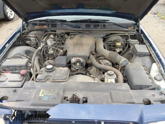 ✅ 2004 Ford Crown Victoria LX • VIN: 2FAFP74W24X136933 • Lot: 43020339. Wystawiony na IAAI z przebiegiem 195 877 mil. Bezpłatny archiwum sprzedaży aukcyjnych z USA i szczegółowy raport historii pojazdu na DreamBid. Zdjęcie 10.