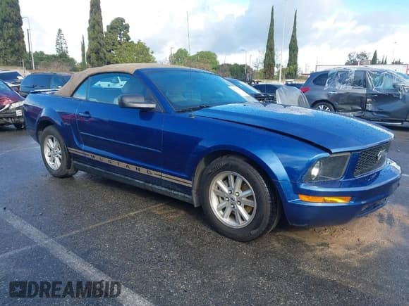 ✅ 2007 Ford Mustang Deluxe • VIN: 1ZVFT84N875329917 • Lot: 41760205. Listed on IAAI with 171,005 mi. Free auction sales archive from the USA and detailed vehicle history report at DreamBid. Image 1.