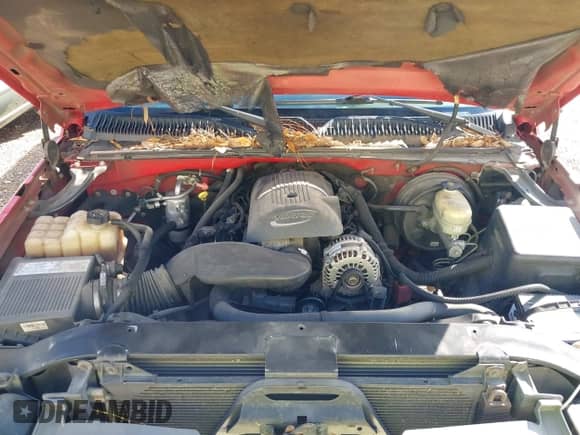 2005 Chevrolet Silverado 1500 Z71 z VIN 1GCEK19B65Z113674, wystawiony jako IAAI lot #43373475 z przebiegiem Nie podano mil oraz . Historia ofert i sprzedaży dostępna na DreamBid. Obrazek 10.