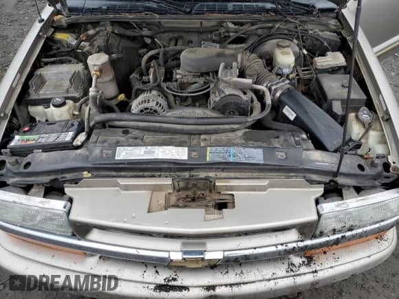 2002 Chevrolet Blazer LS z VIN 1GNDT13W02K155161, wystawiony jako Copart lot #80033774 z przebiegiem 145 425 mil mil oraz Szkoda całkowita • Salvage title. Historia ofert i sprzedaży dostępna na DreamBid. Obrazek 12.