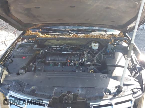 ✅ 2008 Cadillac DTS 1SC • VIN: 1G6KD57Y18U195569 • Lot: 41936784. Wystawiony na IAAI z przebiegiem 123 924 mil. Bezpłatny archiwum sprzedaży aukcyjnych z USA i szczegółowy raport historii pojazdu na DreamBid. Zdjęcie 10.