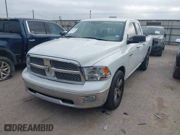 ✅ 2010 Dodge 1500 SLT • VIN: 1D7RB1GP0AS141530 • Lot: 41879543. Wystawiony na IAAI z przebiegiem 282 130 mil. Bezpłatny archiwum sprzedaży aukcyjnych z USA i szczegółowy raport historii pojazdu na DreamBid. Zdjęcie 2.