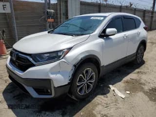 ✅ 2020 Honda CR-V EX-L • VIN: 2HKRW2H83LH664392 • Lot: 65943275. Listed on Copart with 58,263 mi. Free auction sales archive from the USA and detailed vehicle history report at DreamBid. Image 1.