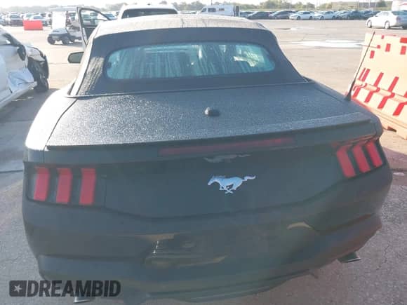 2024 Ford Mustang EcoBoost Premium с VIN 1FAGP8UH6R5133537, выставлен на аукционе IAAI как лот 43530188 с пробегом 37 494 миль миль и . История ставок и продаж доступна на DreamBid. Изображение 16.