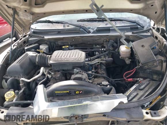 2005 Dodge Dakota Laramie с VIN 1D7HE58N25S202907, выставлен на аукционе IAAI как лот 42654313 с пробегом 245 284 миль миль и . История ставок и продаж доступна на DreamBid. Изображение 10.