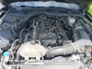 ✅ 2021 Ford Mustang EcoBoost • VIN: 1FA6P8TH4M5113017 • Lot: 42873186. Wystawiony na IAAI z przebiegiem 82 059 mil. Bezpłatny archiwum sprzedaży aukcyjnych z USA i szczegółowy raport historii pojazdu na DreamBid. Zdjęcie 10.