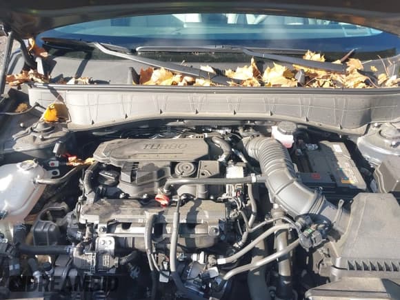 ✅ 2024 Hyundai Kona Limited • VIN: KM8HECA37RU023582 • Lot: 43635726. Listed on IAAI with 15,899 mi. Free auction sales archive from the USA and detailed vehicle history report at DreamBid. Image 10.