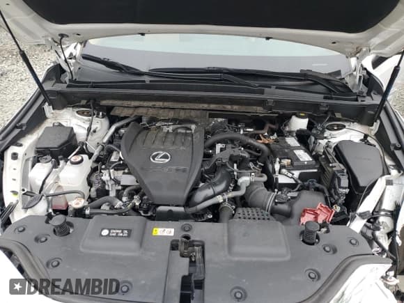 ✅ 2022 Lexus NX 350 Premium • VIN: 2T2GGCEZ6NC004890 • Lot: 80282445. Listed on Copart with 35,877 mi. Free auction sales archive from the USA and detailed vehicle history report at DreamBid. Image 12.