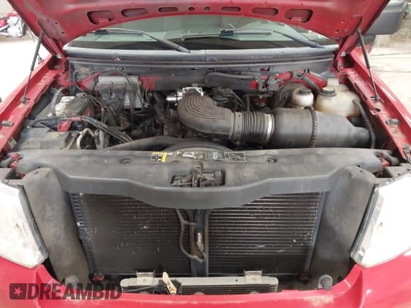 ✅ 2004 Ford F-150 XL • VIN: 1FTRF14W34NB92579 • Lot: 42685169. Wystawiony na IAAI z przebiegiem 209 513 mil. Bezpłatny archiwum sprzedaży aukcyjnych z USA i szczegółowy raport historii pojazdu na DreamBid. Zdjęcie 10.