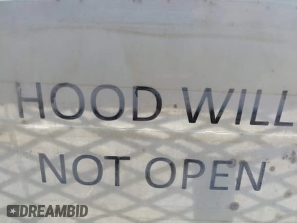 ✅ 2005 Chevrolet Malibu Maxx LS • VIN: 1G1ZT64895F209073 • Лот: 42821929. Опубликован ранее на IAAI с пробегом Не указан. Бесплатный доступ к архиву аукционных продаж из США и подробный отчёт об истории автомобиля на DreamBid. Изображение 10.