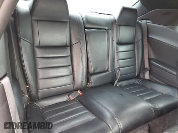 ✅ 2010 Dodge Challenger SE • VIN: 2B3CJ4DVXAH319377 • Lot: 79056964. Wystawiony na Copart z przebiegiem 201 523 mil. Bezpłatny archiwum sprzedaży aukcyjnych z USA i szczegółowy raport historii pojazdu na DreamBid. Zdjęcie 10.