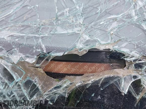 ✅ 2000 Acura Integra LS • VIN: JH4DC4452YS001168 • Lot: 42081968. Listed on IAAI with Not provided. Free auction sales archive from the USA and detailed vehicle history report at DreamBid. Image 9.