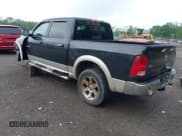 ✅ 2009 Dodge 1500 Laramie • VIN: 1D3HV13T69S799484 • Lot: 42312702. Wystawiony na IAAI z przebiegiem 254 233 mil. Bezpłatny archiwum sprzedaży aukcyjnych z USA i szczegółowy raport historii pojazdu na DreamBid. Zdjęcie 3.