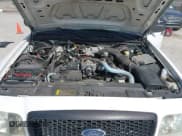 ✅ 2008 Ford Police Interceptor • VIN: 2FAFP71V98X144920 • Lot: 41708440. Wystawiony na IAAI z przebiegiem 220 381 mil. Bezpłatny archiwum sprzedaży aukcyjnych z USA i szczegółowy raport historii pojazdu na DreamBid. Zdjęcie 10.