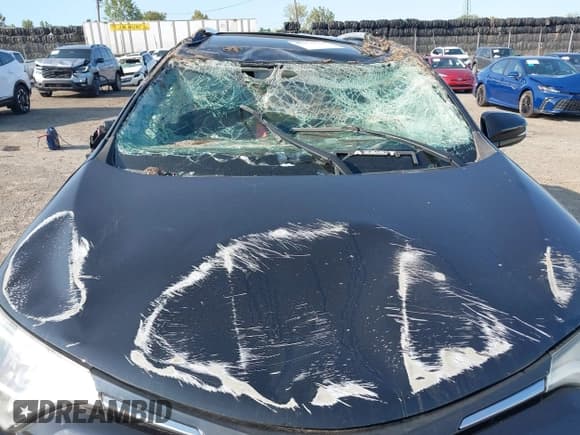 ✅ 2016 Toyota RAV4 XLE • VIN: 2T3RFREV4GW472190 • Lot: 43179615. Listed on IAAI with Not provided. Free auction sales archive from the USA and detailed vehicle history report at DreamBid. Image 18.