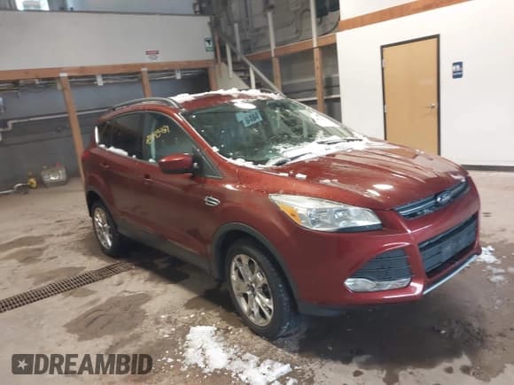 ✅ 2016 Ford Escape SE • VIN: 1FMCU9GX8GUC54272 • Лот: 43843481. Опубликован ранее на IAAI с пробегом 108 240 миль. Бесплатный доступ к архиву аукционных продаж из США и подробный отчёт об истории автомобиля на DreamBid. Изображение 1.