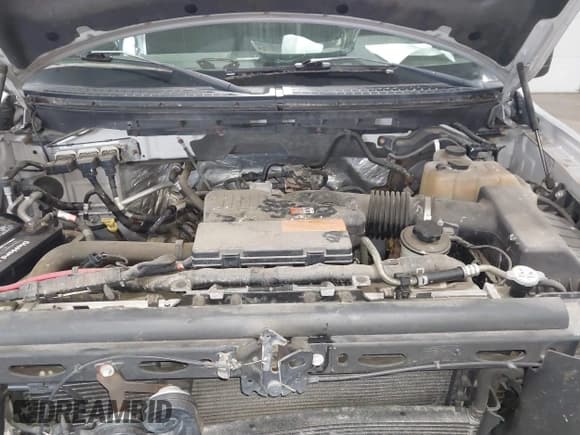 ✅ 2010 Ford F-150 XL • VIN: 1FTEX1EW6AFD81288 • Lot: 42499048. Wystawiony na IAAI z przebiegiem 39 605 mil. Bezpłatny archiwum sprzedaży aukcyjnych z USA i szczegółowy raport historii pojazdu na DreamBid. Zdjęcie 10.