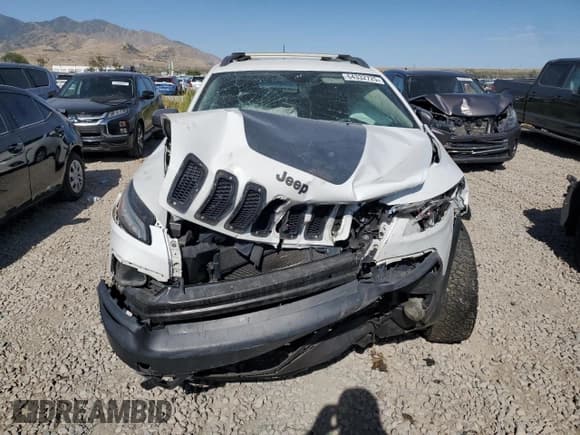 ✅ 2016 Jeep Cherokee Trailhawk • VIN: 1C4PJMBB4GW311259 • Lot: 64332725. Wystawiony na Copart z przebiegiem 133 644 mil. Bezpłatny archiwum sprzedaży aukcyjnych z USA i szczegółowy raport historii pojazdu na DreamBid. Zdjęcie 5.