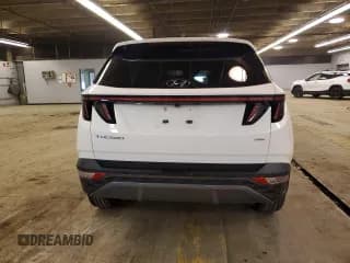 ✅ 2023 Hyundai Tucson Limited • VIN: 5NMJECAEXPH244055 • Lot: 80498503. Wystawiony na Copart z przebiegiem 7 111 mil. Bezpłatny archiwum sprzedaży aukcyjnych z USA i szczegółowy raport historii pojazdu na DreamBid. Zdjęcie 6.