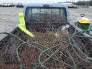 ✅ 1987 Ford Ranger • VIN: 1FTCR14T0HPA53703 • Лот: 43806925. Опубликован ранее на Copart с пробегом 42 285 миль. Бесплатный доступ к архиву аукционных продаж из США и подробный отчёт об истории автомобиля на DreamBid. Изображение 8.