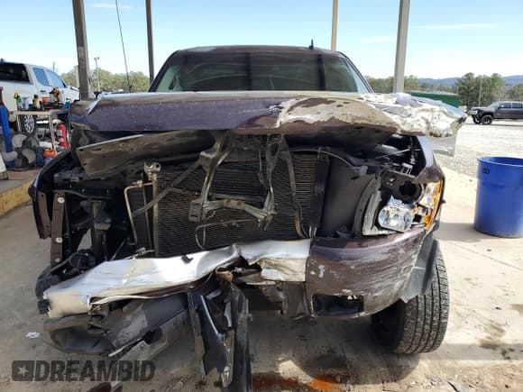 ✅ 2009 Chevrolet Silverado 1500 • VIN: 2GCEC330691105735 • Lot: 47586235. Listed on Copart with 256,787 mi. Free auction sales archive from the USA and detailed vehicle history report at DreamBid. Image 5.