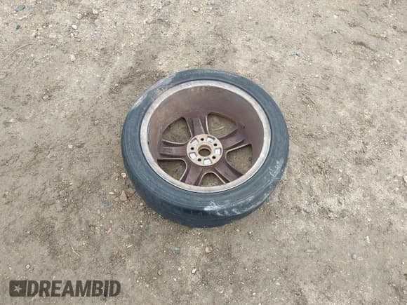 ✅ 2006 Volkswagen Beetle • VIN: 3VWSF31Y96M304430 • Lot: 41694441. Wystawiony na IAAI z przebiegiem 98 040 mil. Bezpłatny archiwum sprzedaży aukcyjnych z USA i szczegółowy raport historii pojazdu na DreamBid. Zdjęcie 12.