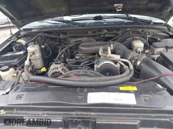 1999 Chevrolet Blazer LT z VIN 1GNDT13W3X2250496, wystawiony jako IAAI lot #42001807 z przebiegiem 210 193 mil mil oraz . Historia ofert i sprzedaży dostępna na DreamBid. Obrazek 10.