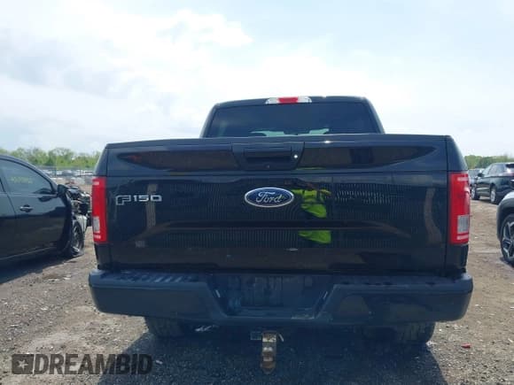 ✅ 2017 Ford F-150 XL • VIN: 1FTEW1EF5HFC10447 • Лот: 42216918. Опубликован ранее на IAAI с пробегом 125 302 миль. Бесплатный доступ к архиву аукционных продаж из США и подробный отчёт об истории автомобиля на DreamBid. Изображение 17.