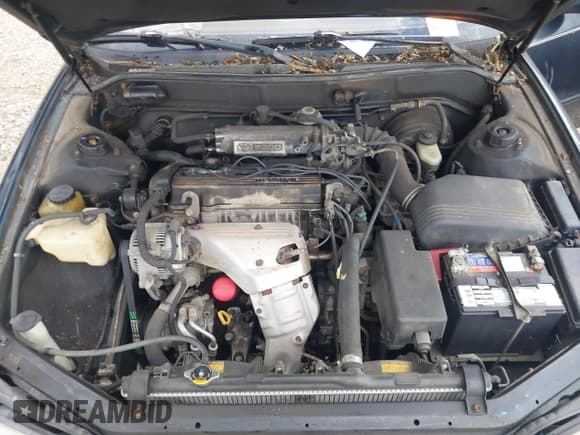 ✅ 1995 Toyota Camry LE • VIN: 4T1SK12E6SU532880 • Lot: 42992191. Wystawiony na IAAI z przebiegiem 210 562 mil. Bezpłatny archiwum sprzedaży aukcyjnych z USA i szczegółowy raport historii pojazdu na DreamBid. Zdjęcie 10.