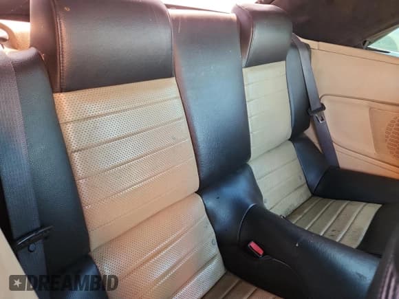 ✅ 2009 Ford Mustang GT • VIN: 1ZVHT85H995101560 • Lot: 70455685. Wystawiony na Copart z przebiegiem 248 600 mil. Bezpłatny archiwum sprzedaży aukcyjnych z USA i szczegółowy raport historii pojazdu na DreamBid. Zdjęcie 10.