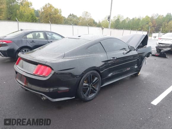 ✅ 2015 Ford Mustang EcoBoost • VIN: 1FA6P8TH8F5344196 • Lot: 43494399. Wystawiony na IAAI z przebiegiem Nie podano. Bezpłatny archiwum sprzedaży aukcyjnych z USA i szczegółowy raport historii pojazdu na DreamBid. Zdjęcie 4.