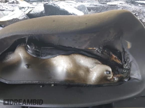 ✅ 2004 BMW 3 Series 325Ci • VIN: WBABW33454PG98027 • Lot: 42608050. Listed on IAAI with Not provided. Free auction sales archive from the USA and detailed vehicle history report at DreamBid. Image 7.