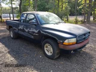 ✅ 2000 Dodge Dakota • VIN: 1B7GL22X2YS517053 • Lot: 43386767. Wystawiony na IAAI z przebiegiem 276 202 mil. Bezpłatny archiwum sprzedaży aukcyjnych z USA i szczegółowy raport historii pojazdu na DreamBid. Zdjęcie 1.