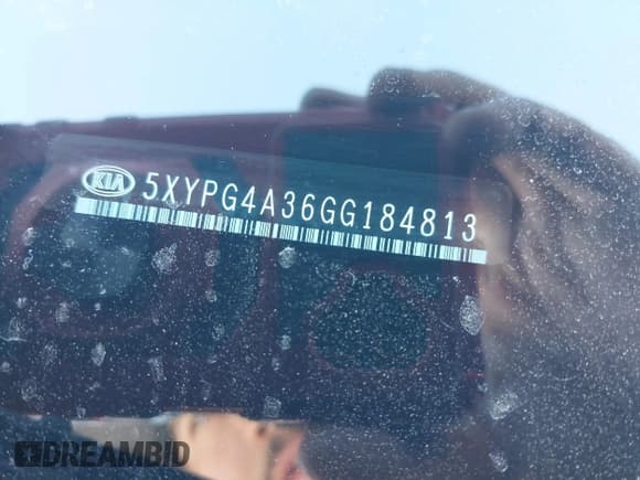 ✅ 2016 Kia Sorento LX • VIN: 5XYPG4A36GG184813 • Lot: 43774003. Listed on IAAI with 125,336 mi. Free auction sales archive from the USA and detailed vehicle history report at DreamBid. Image 9.