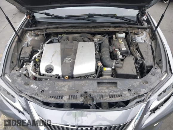 ✅ 2019 Lexus ES 350 • VIN: 58ABZ1B1XKU043495 • Lot: 42448372. Listed on IAAI with Not provided. Free auction sales archive from the USA and detailed vehicle history report at DreamBid. Image 10.