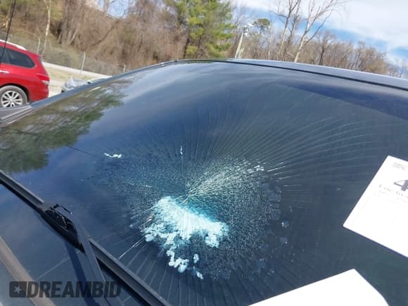 ✅ 2019 Chevrolet Silverado 1500 LT • VIN: 1GCPYDEKXKZ394243 • Lot: 41821628. Wystawiony na IAAI z przebiegiem Nie podano. Bezpłatny archiwum sprzedaży aukcyjnych z USA i szczegółowy raport historii pojazdu na DreamBid. Zdjęcie 14.