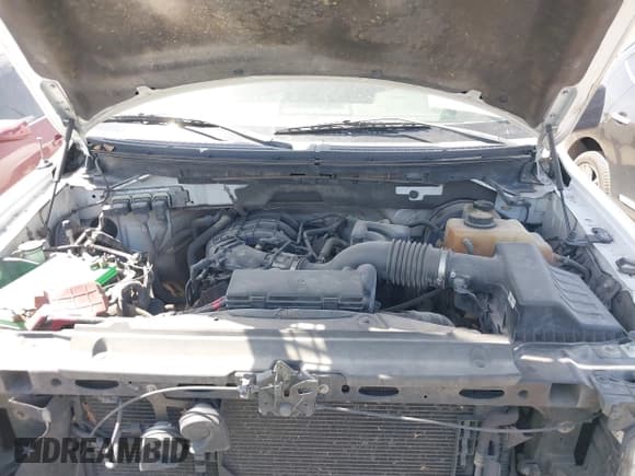 ✅ 2012 Ford F-150 XL • VIN: 1FTMF1CM0CKD89431 • Lot: 41843682. Listed on IAAI with 217,032 mi. Free auction sales archive from the USA and detailed vehicle history report at DreamBid. Image 10.