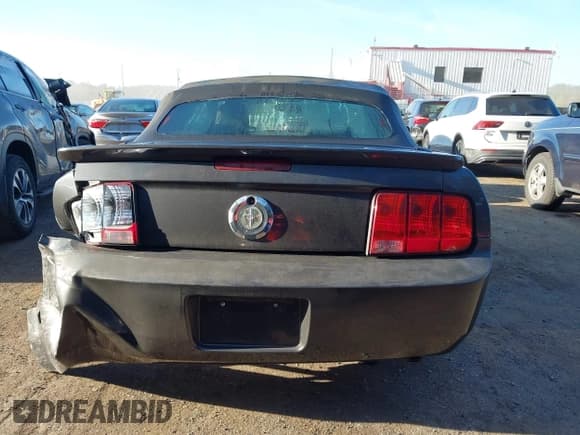 ✅ 2007 Ford Mustang Deluxe • VIN: 1ZVFT84N075346114 • Lot: 43362587. Listed on IAAI with 68,756 mi. Free auction sales archive from the USA and detailed vehicle history report at DreamBid. Image 16.