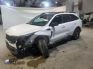 ✅ 2024 Kia Sorento X-Line EX • VIN: 5XYRHDJF9RG257336 • Lot: 81571944. Listed on Copart with Not provided. Free auction sales archive from the USA and detailed vehicle history report at DreamBid. Image 1.