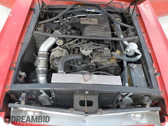 ✅ 1968 Ford Mustang • VIN: 8T03T202492 • Лот: 77017994. Опубликован ранее на Copart с пробегом 64 584 миль. Бесплатный доступ к архиву аукционных продаж из США и подробный отчёт об истории автомобиля на DreamBid. Изображение 11.