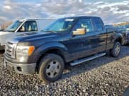 ✅ 2010 Ford F-150 XL • VIN: 1FTEX1E84AFC74287 • Lot: 93904845. Wystawiony na Copart z przebiegiem Nie podano. Bezpłatny archiwum sprzedaży aukcyjnych z USA i szczegółowy raport historii pojazdu na DreamBid. Zdjęcie 1.